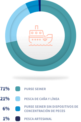 Métodos de pesca que utilizamos en 2019 (%)